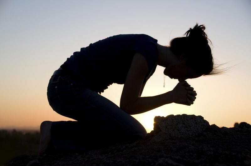 Devocional: Busca