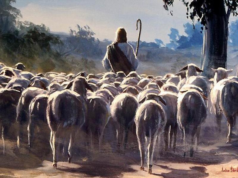 Siguiendo a nuestro Pastor
