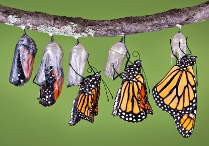 Devocional: Una Nueva Persona en Cristo
