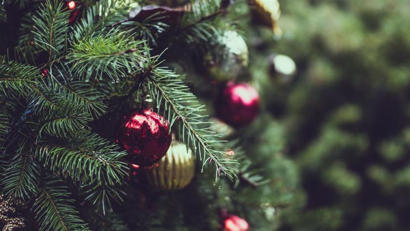 El por que necesitamos de la Navidad